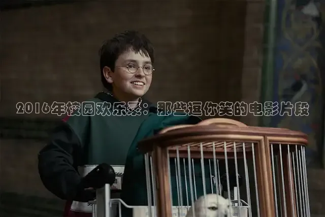 大象传媒视频看